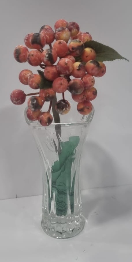 Berries Orange